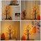 24" Lighted Fall Maple Tree with 72 LED Lights – Artificial Autumn Birch Tree Decor with Maple Leaves, Squirrels & Acorns – USB/Battery Operated Thanksgiving Tabletop Decoration with Timer